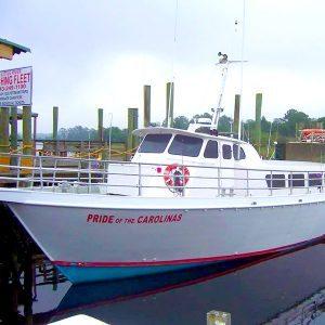 Up To $20 OFF-Free Sharks Tooth for Everyone