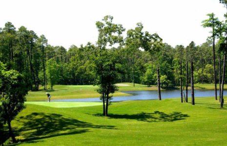 Disc & Foot Golf