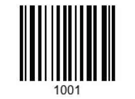 $10 Off Purchase of $50 or More!