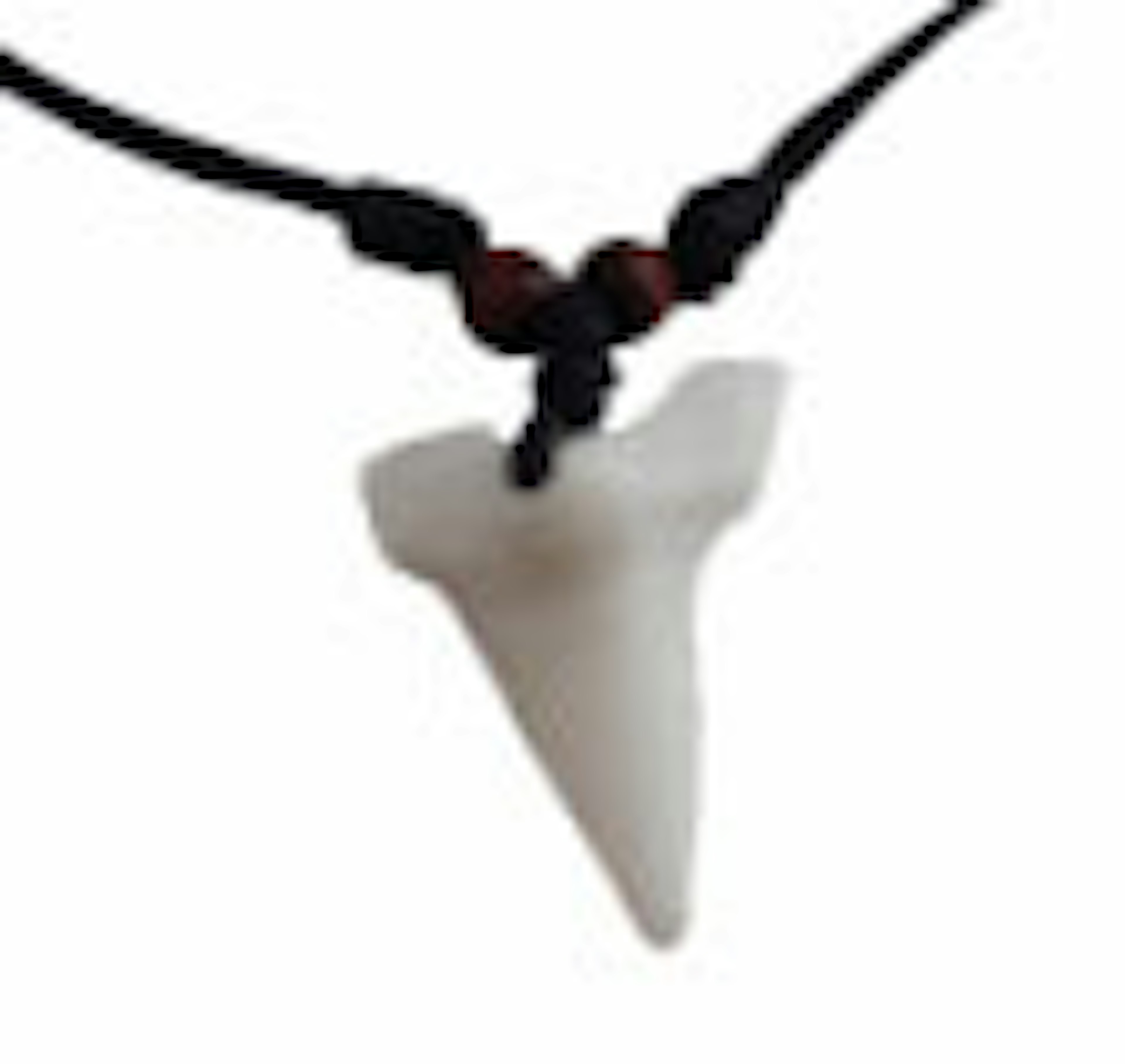 Real Sharktooth Necklace 45¢