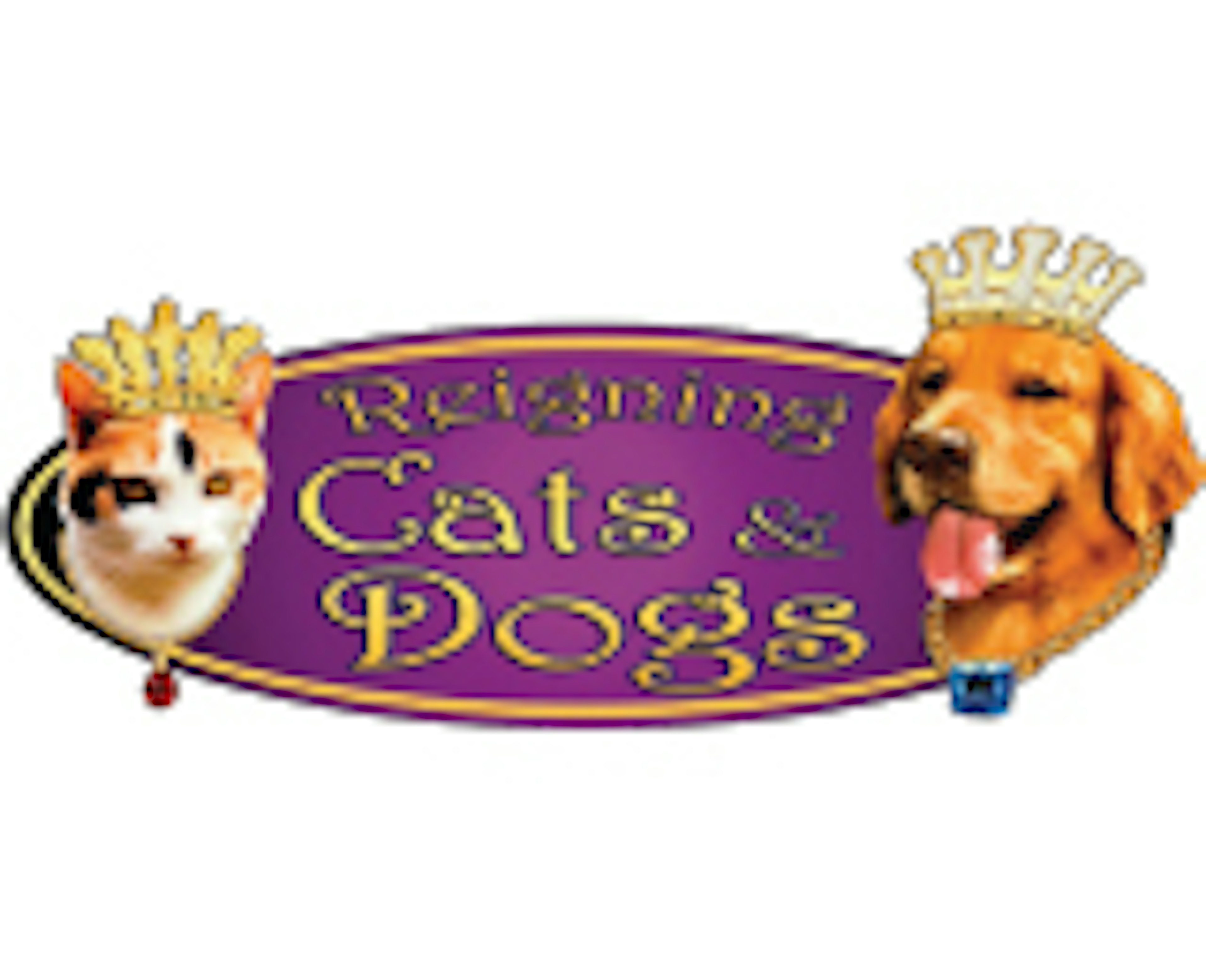 Reigning Cats &amp; Dogs