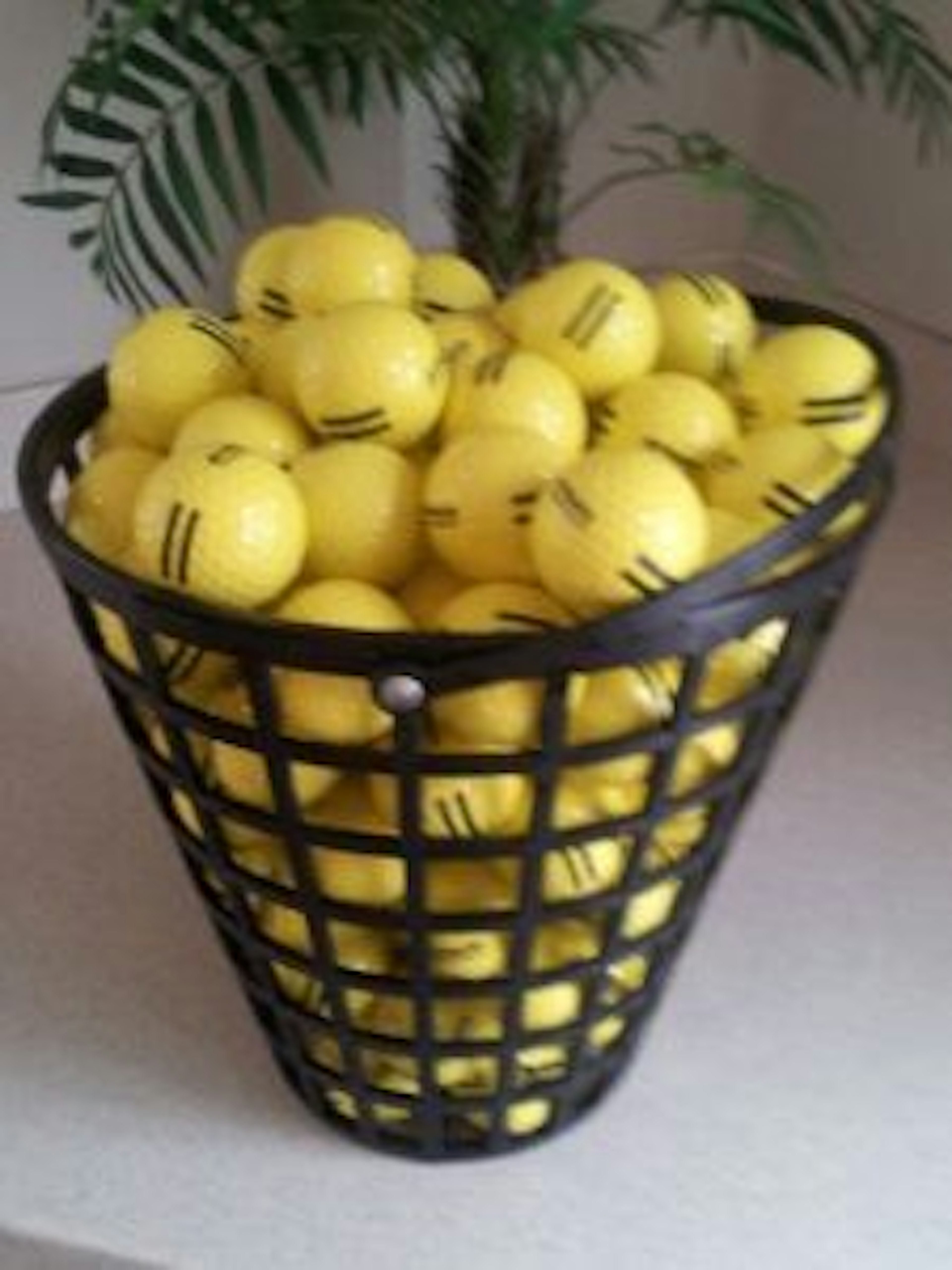 Free Bucket of Balls